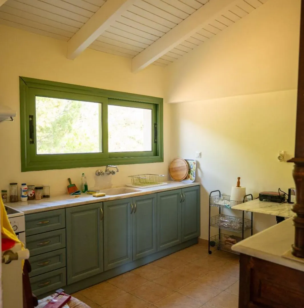 Ouzaki House Apartment Antipata